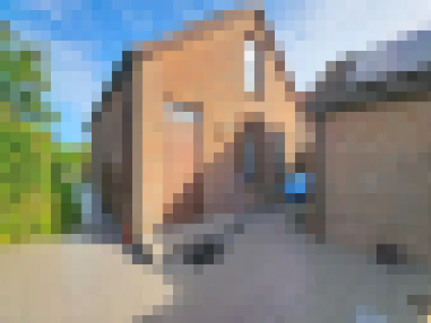 Zandertje 15 Breskens thumbnail 15