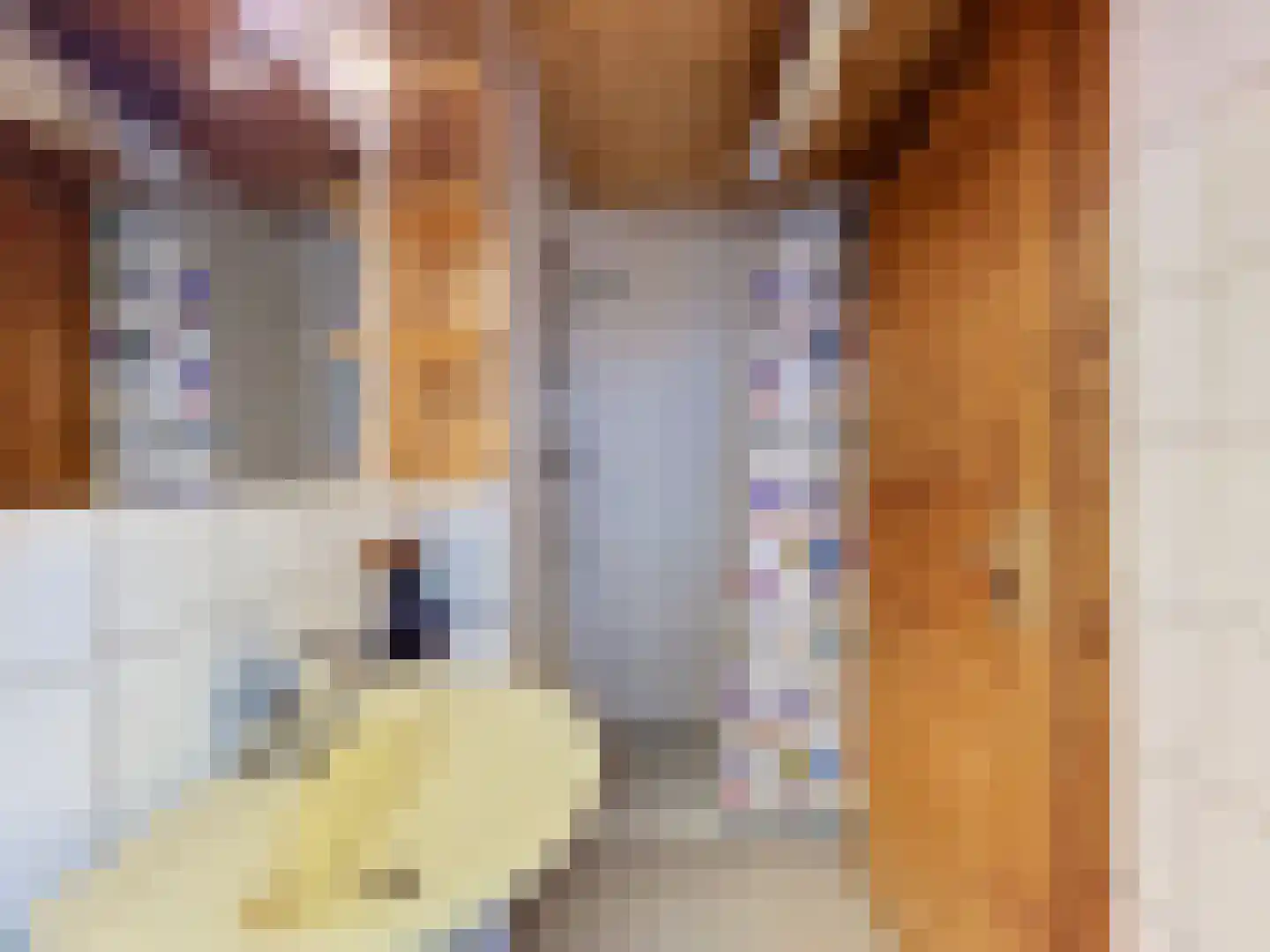 Zandertje 15 Breskens thumbnail 21