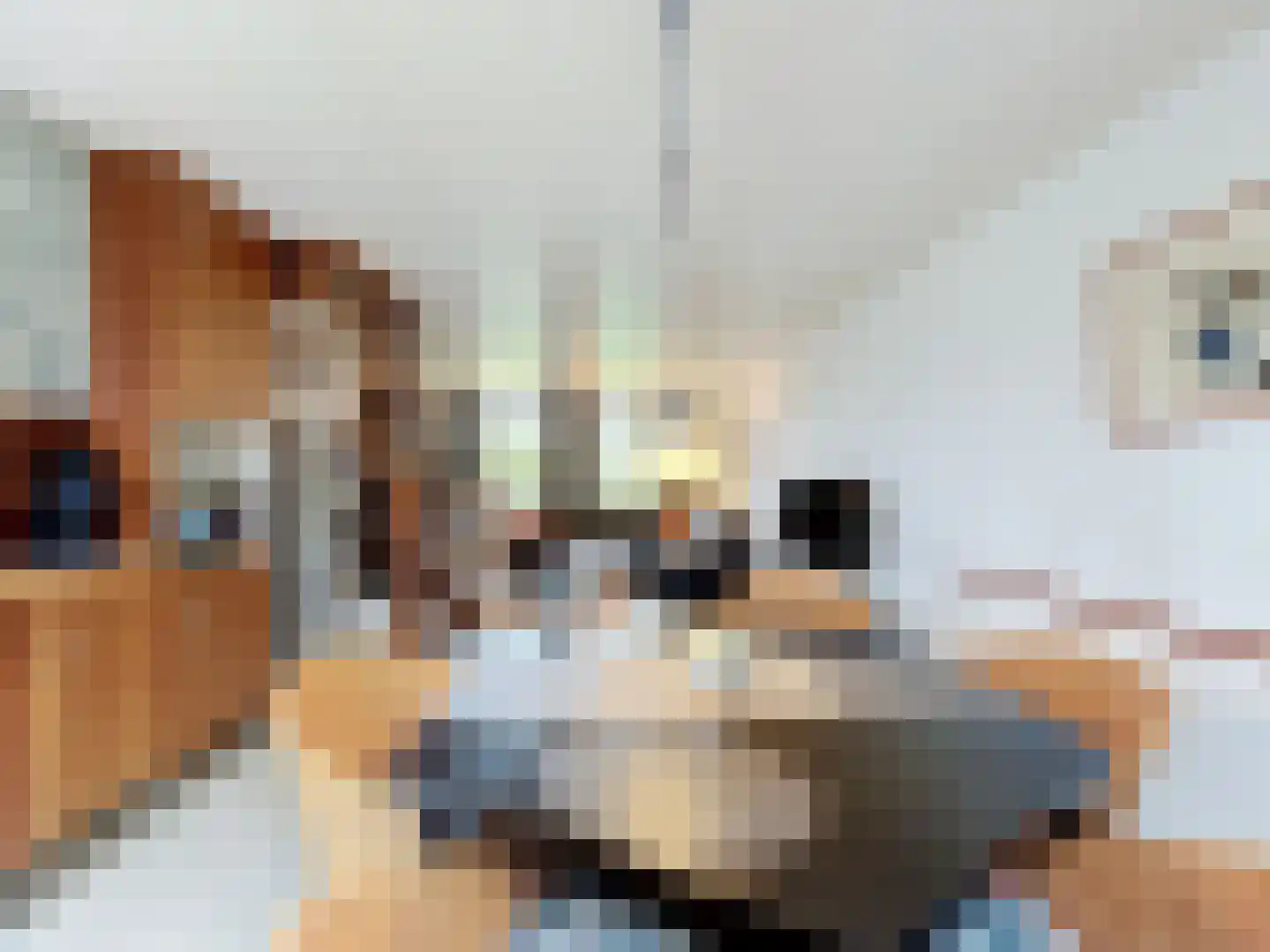Zandertje 15 Breskens thumbnail 8