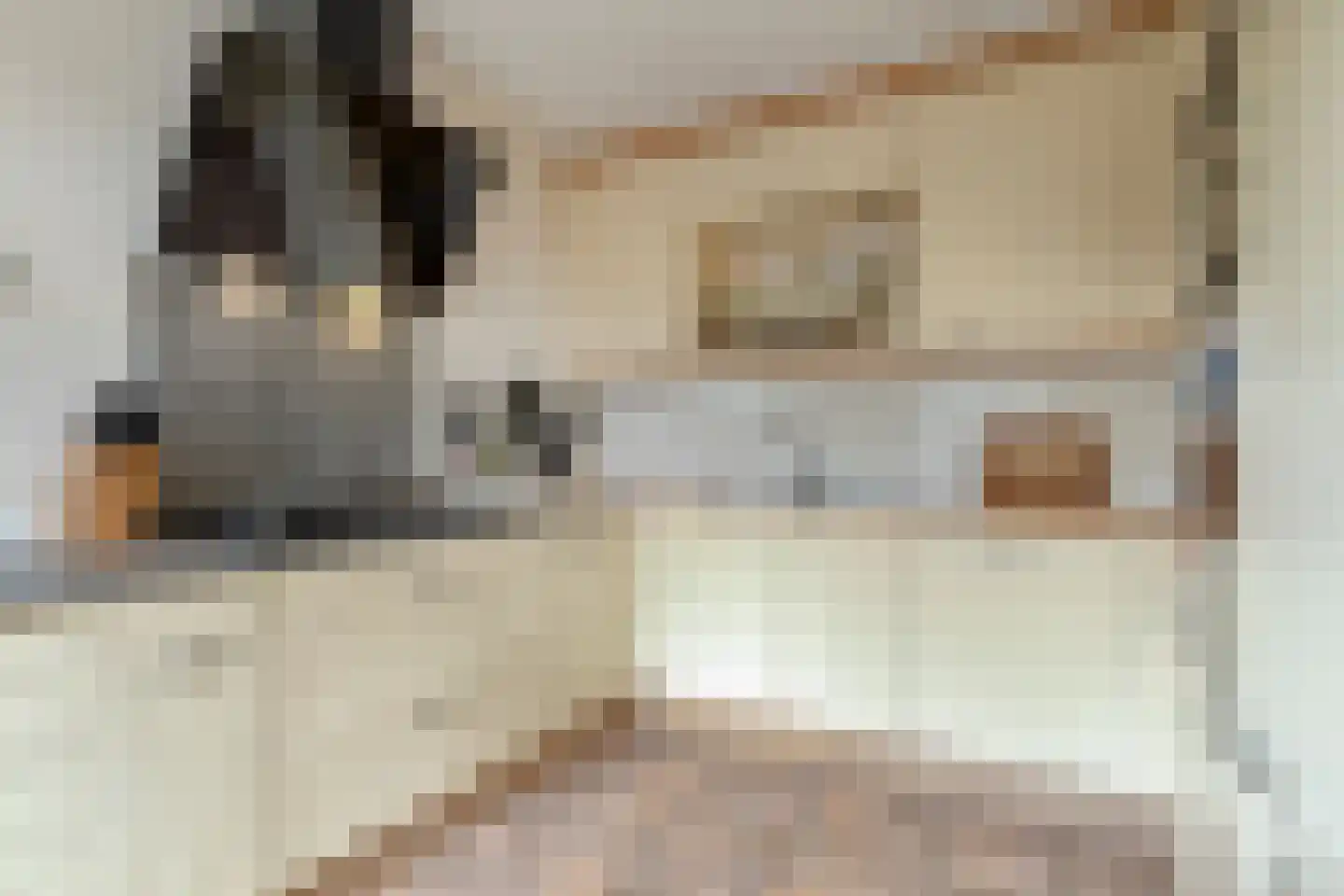 Zandertje 5 Breskens thumbnail 20