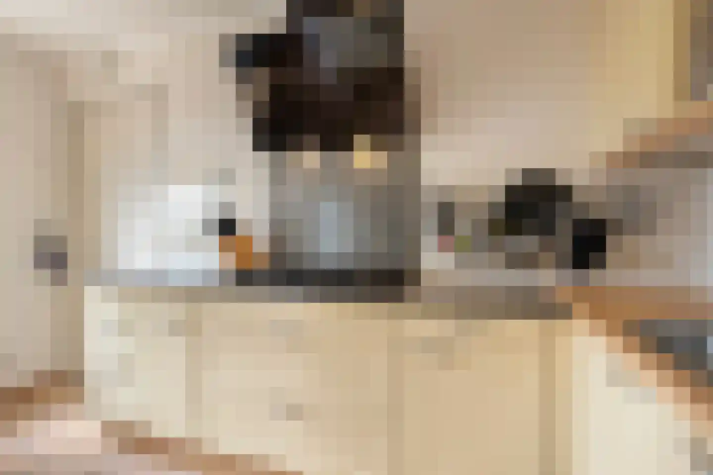 Zandertje 5 Breskens thumbnail 22