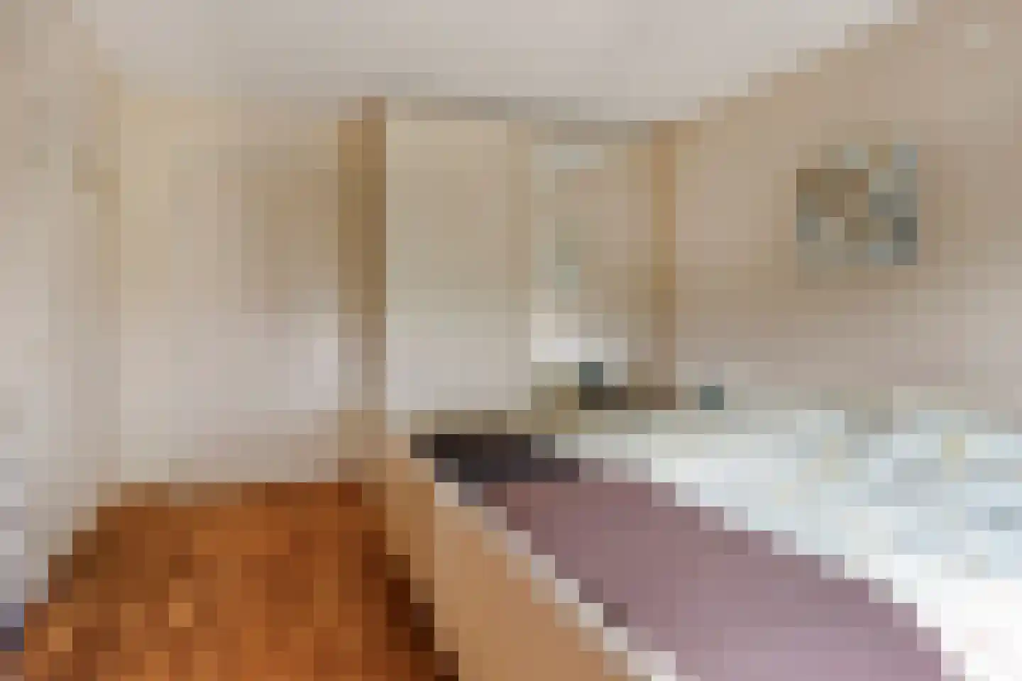 Zandertje 5 Breskens thumbnail 24