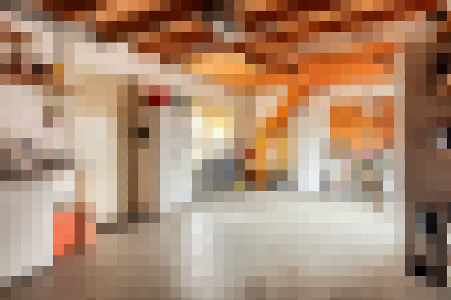 Zandertje 5 Breskens thumbnail 28