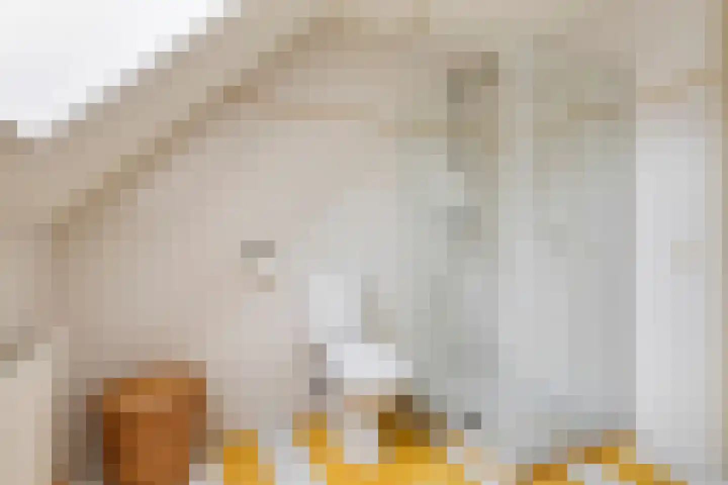 Zandertje 5 Breskens thumbnail 35