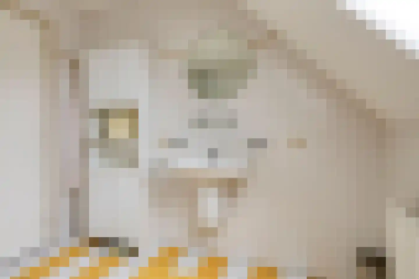 Zandertje 5 Breskens thumbnail 36