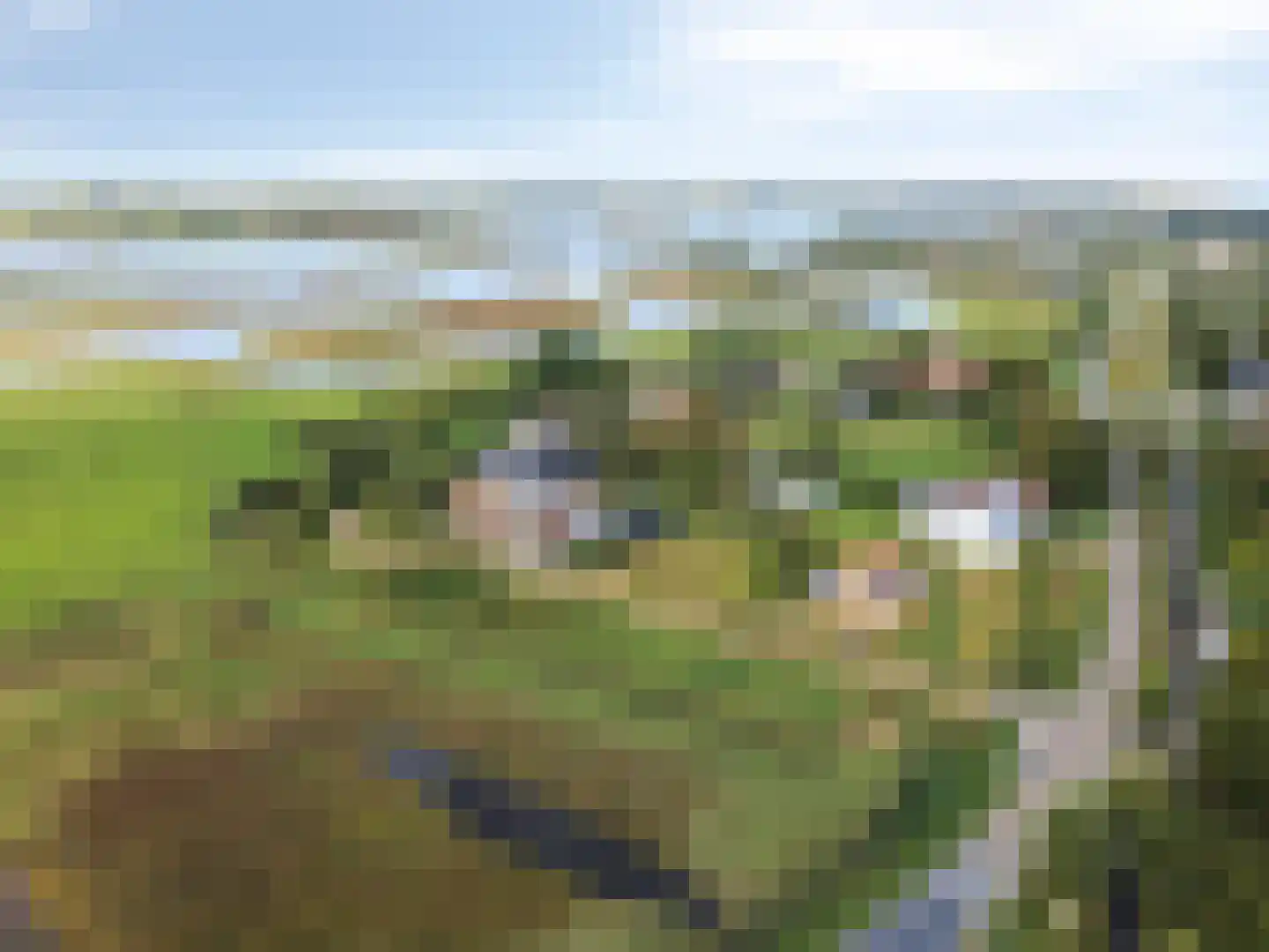 Zandertje 5 Breskens thumbnail 4