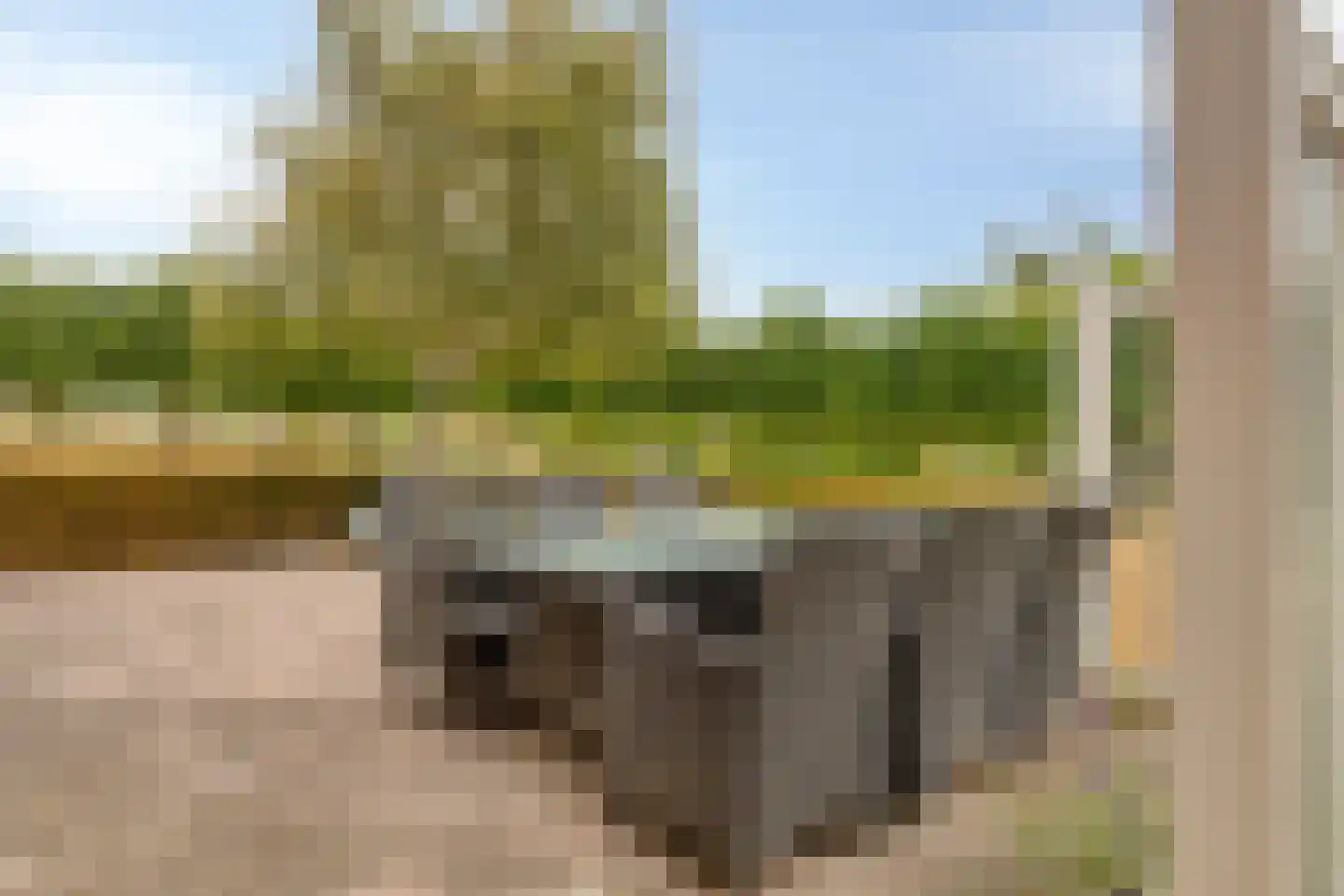Zandertje 5 Breskens thumbnail 42