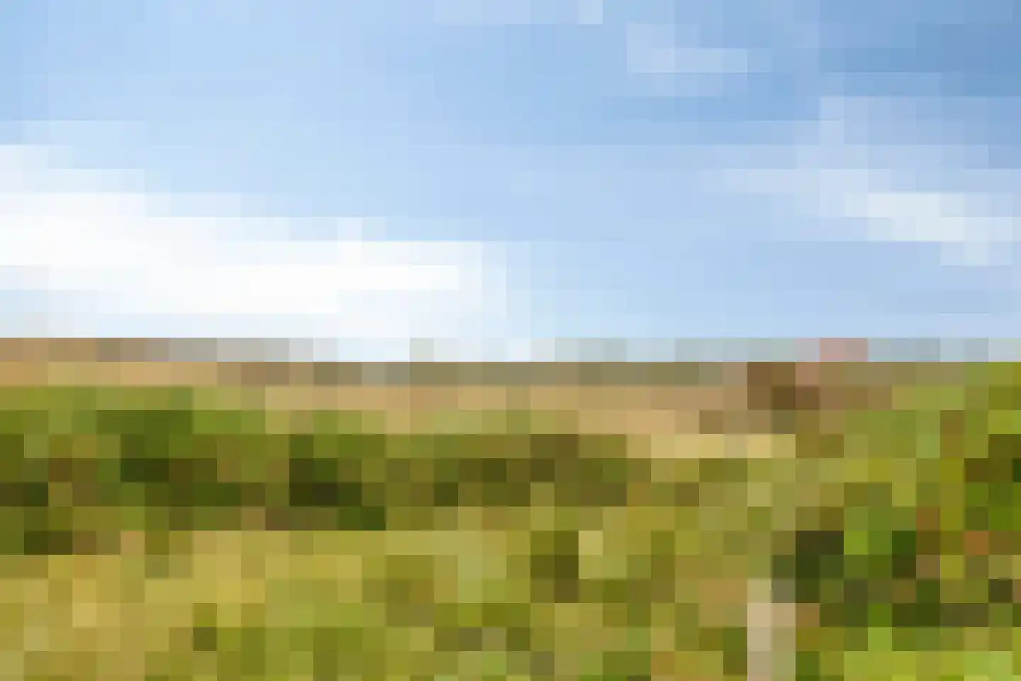 Zandertje 5 Breskens thumbnail 48