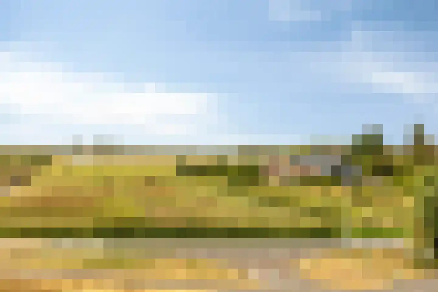 Zandertje 5 Breskens thumbnail 49