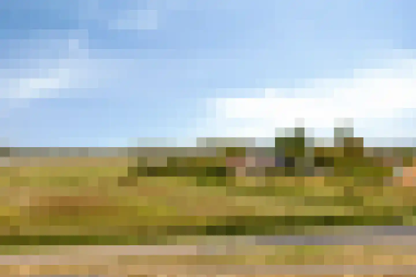 Zandertje 5 Breskens thumbnail 50