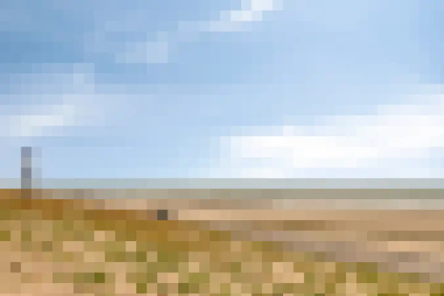 Zandertje 5 Breskens thumbnail 51