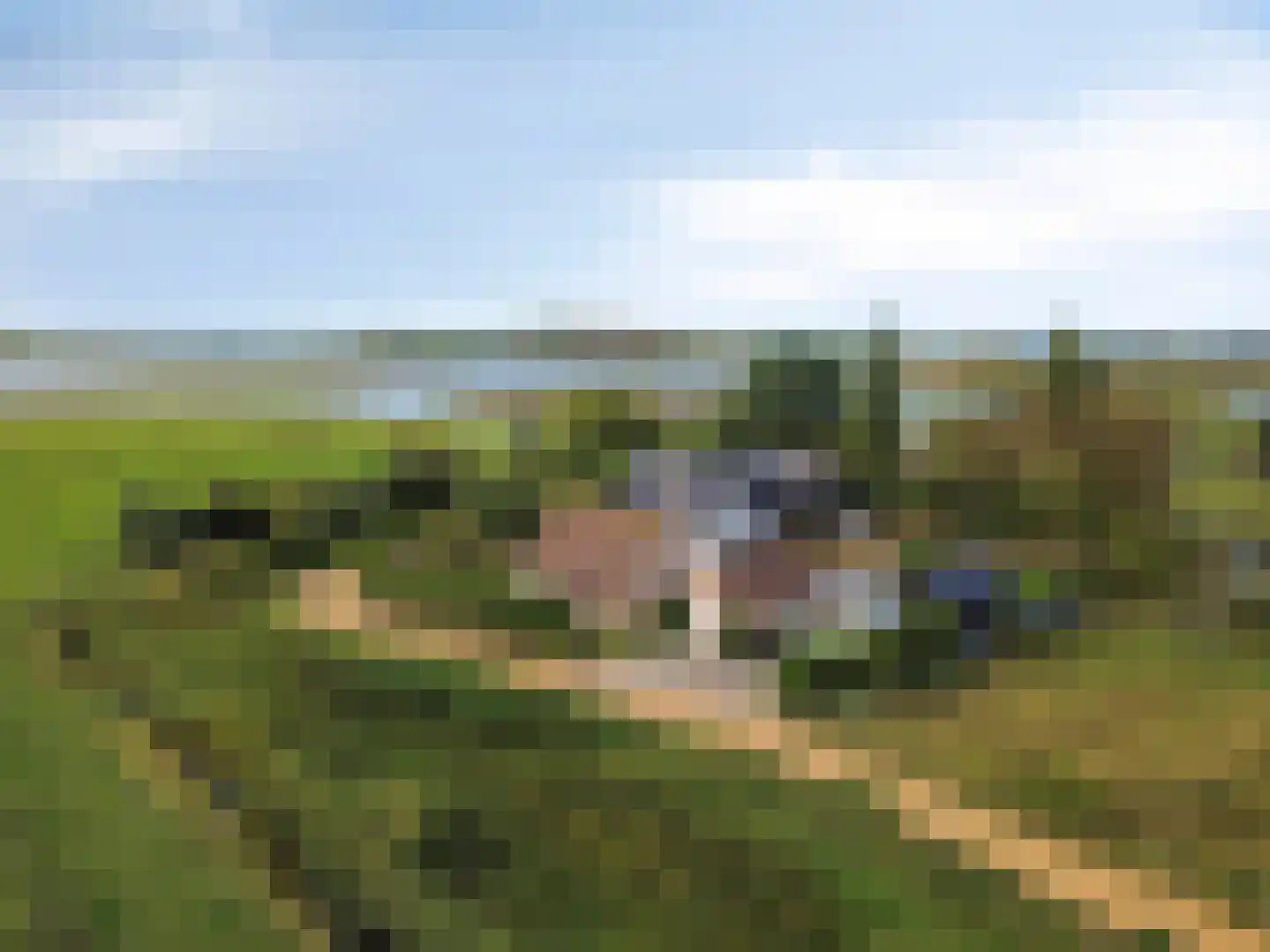 Zandertje 5 Breskens thumbnail 52