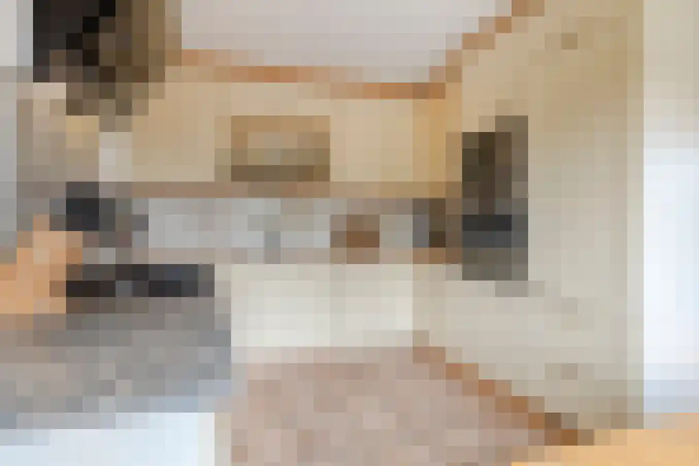 Zandertje 5 Breskens thumbnail 6