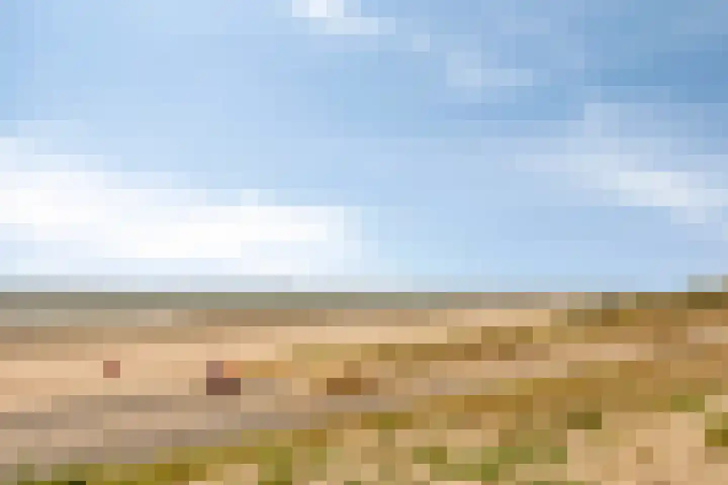 Zandertje 5 Breskens thumbnail 9