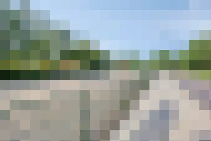 Zandeveltplein 19 's-Gravenzande thumbnail 24