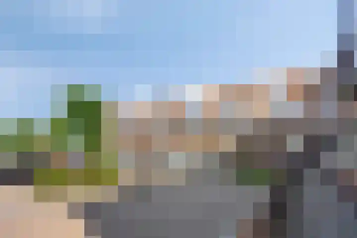 Zandeveltplein 19 's-Gravenzande thumbnail 29