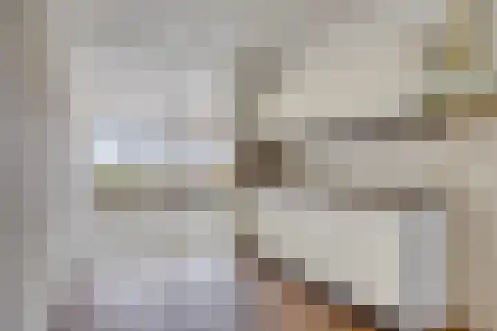 Zandeveltplein 19 's-Gravenzande thumbnail 4