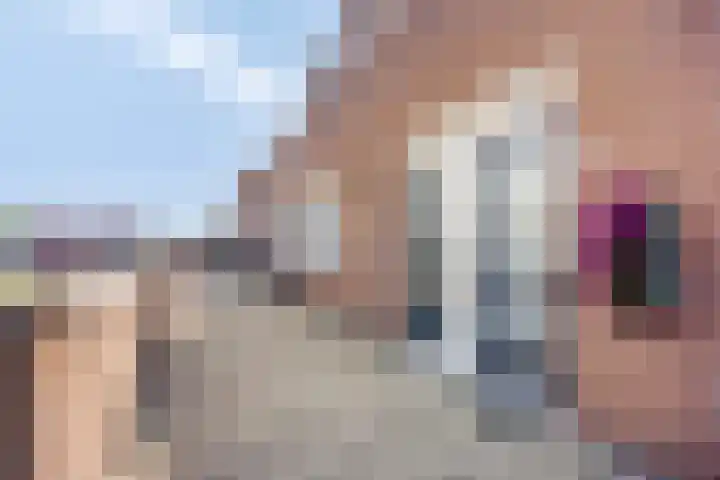 Zandeveltplein 19 's-Gravenzande thumbnail 5