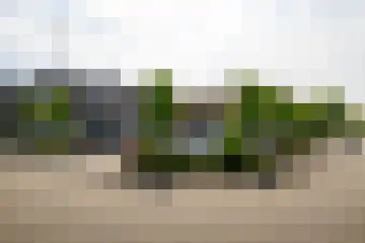 Zandeveltplein 21 A 's-Gravenzande thumbnail 27