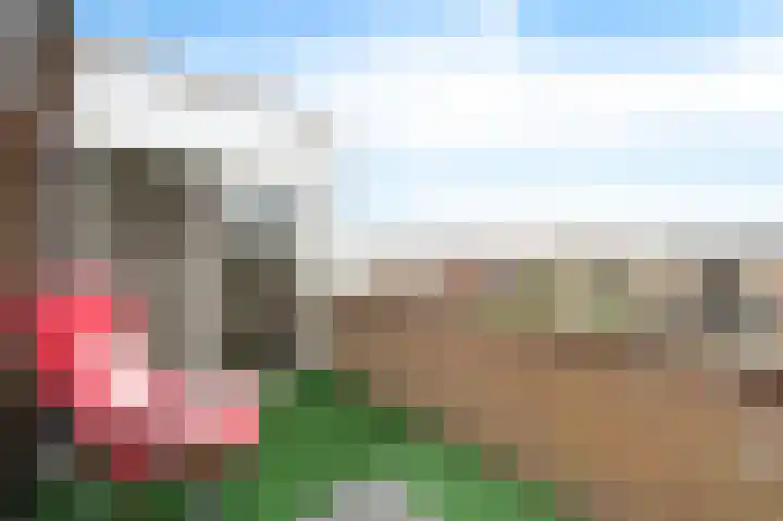 Zandeveltplein 27 's-Gravenzande thumbnail 22