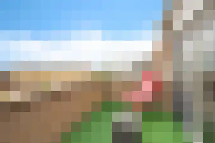 Zandeveltplein 27 's-Gravenzande thumbnail 6