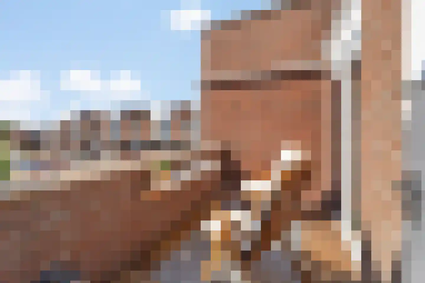 Zandeveltplein 47 's-Gravenzande thumbnail 15
