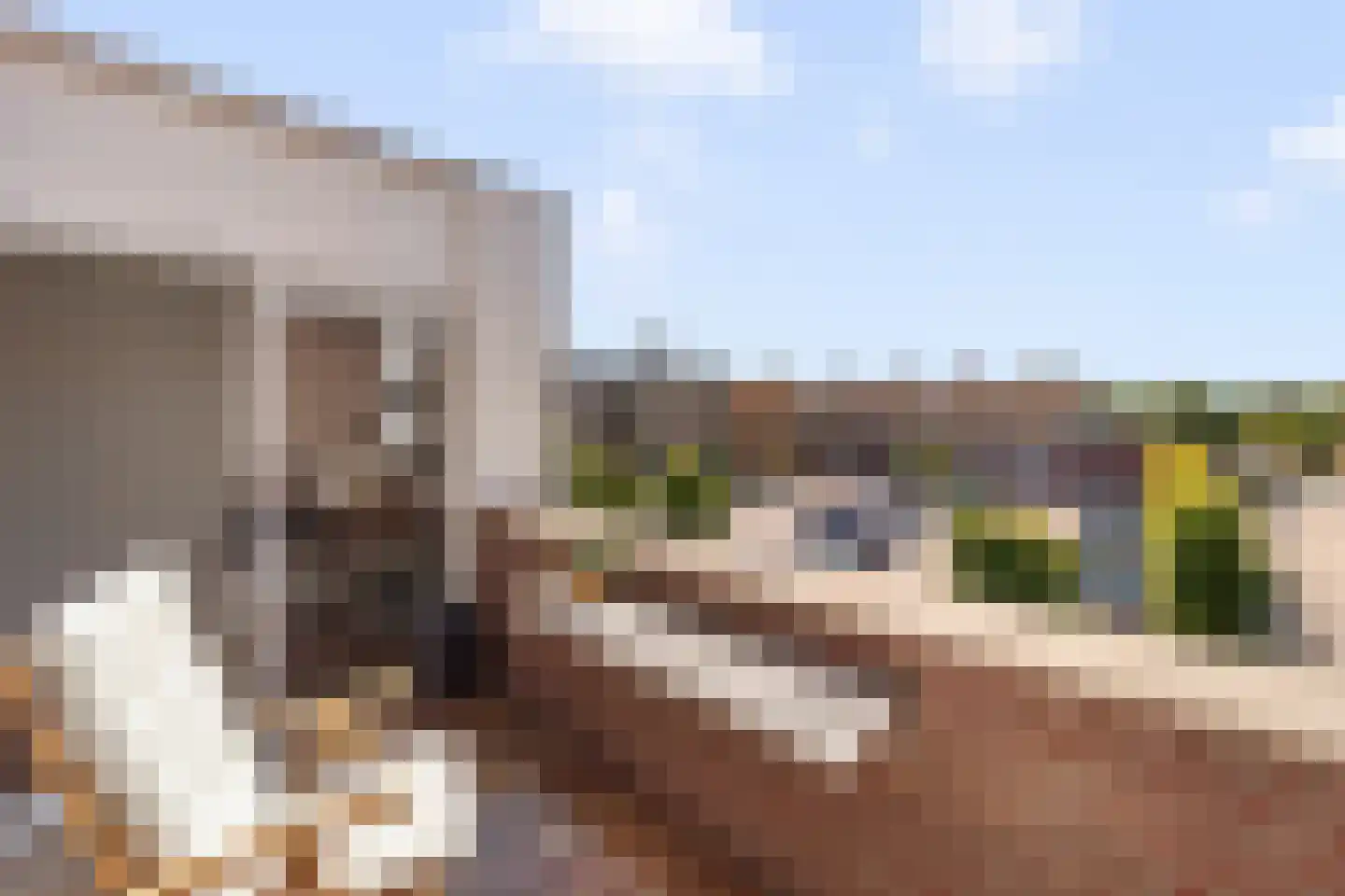 Zandeveltplein 47 's-Gravenzande thumbnail 22