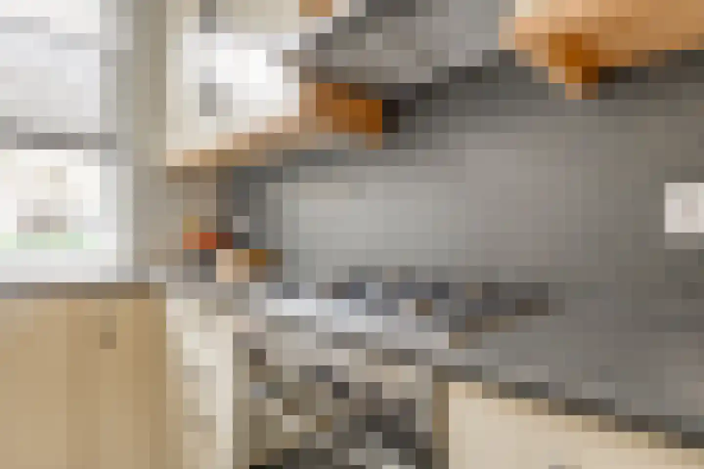 Zandeveltweg 19 's-Gravenzande thumbnail 15