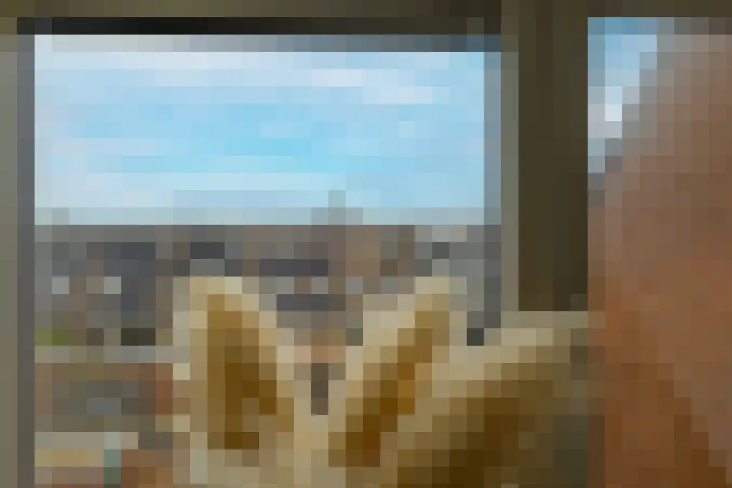 Zandeveltweg 19 's-Gravenzande thumbnail 32