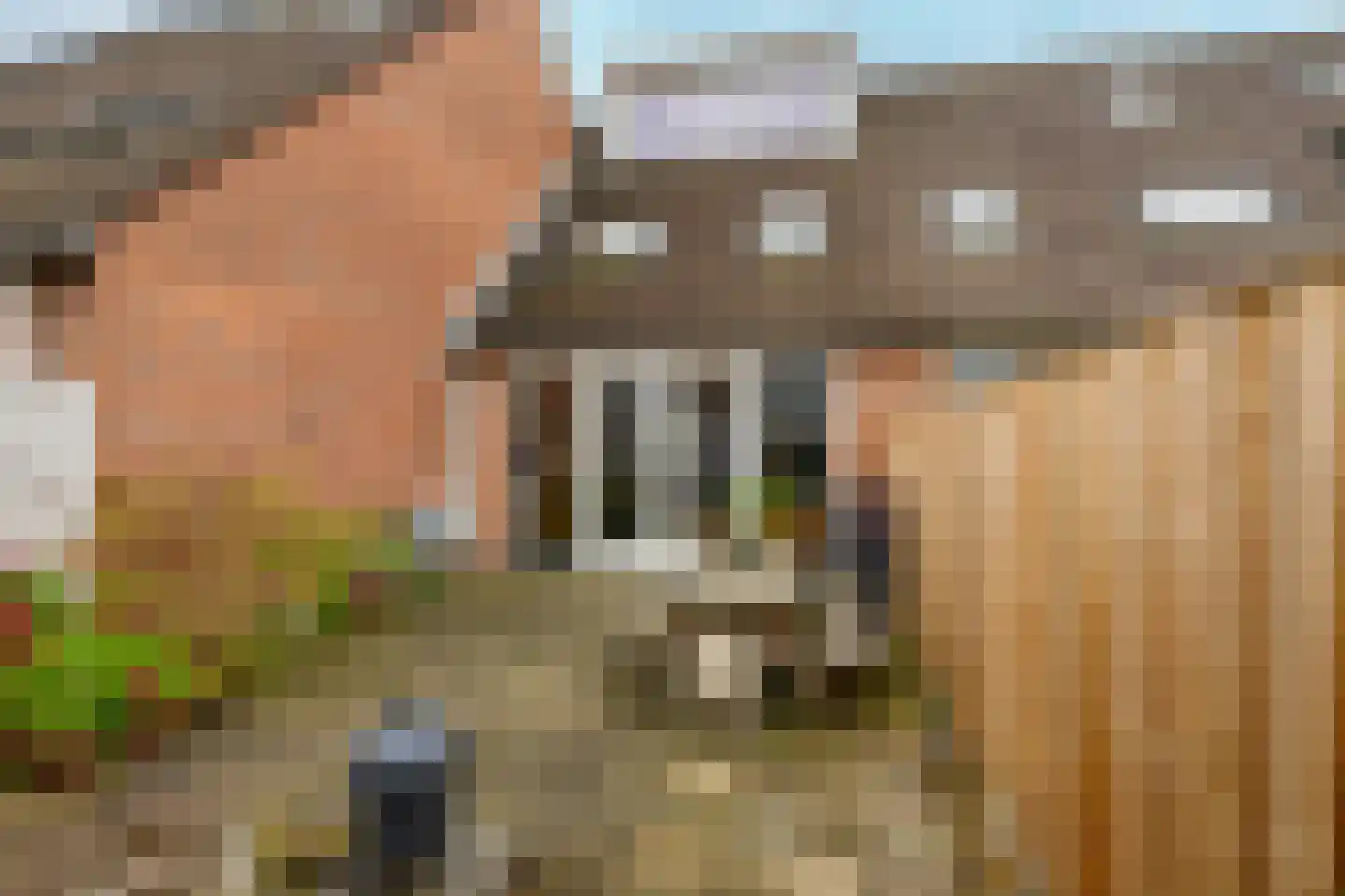 Zandeveltweg 19 's-Gravenzande thumbnail 34