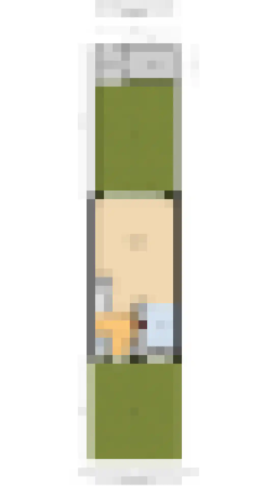 Zandeveltweg 19 's-Gravenzande thumbnail 53