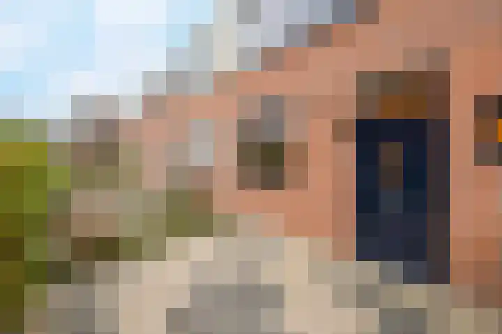 Zandeveltweg 39 's-Gravenzande thumbnail 10