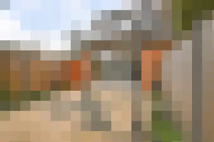 Zandeveltweg 39 's-Gravenzande thumbnail 38