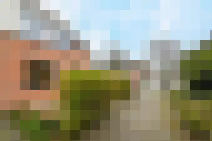 Zandeveltweg 39 's-Gravenzande thumbnail 8