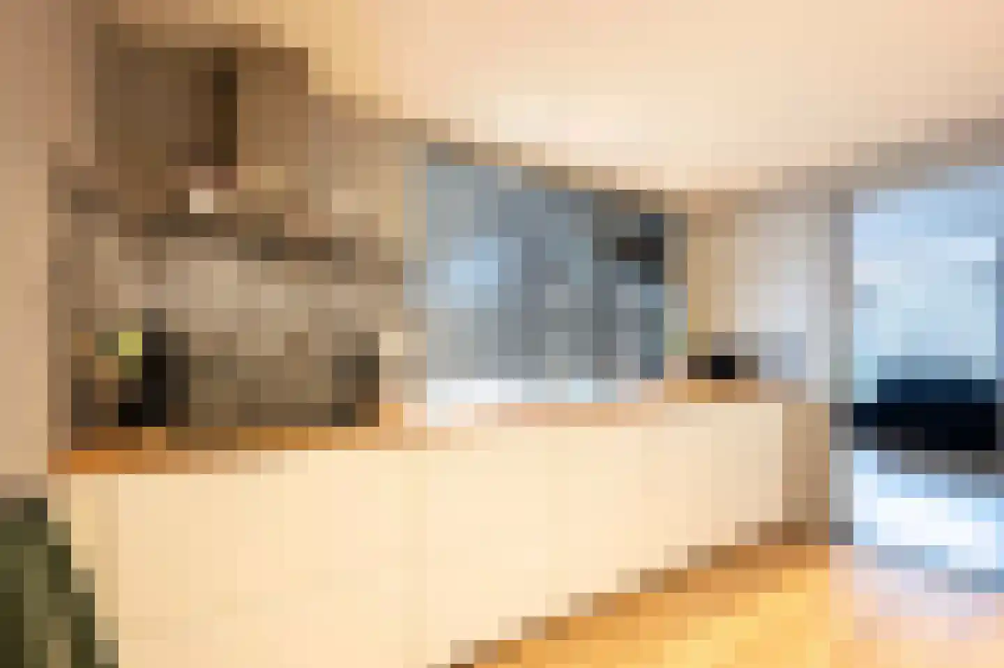 Zandeweg 25 Oudenbosch thumbnail 13