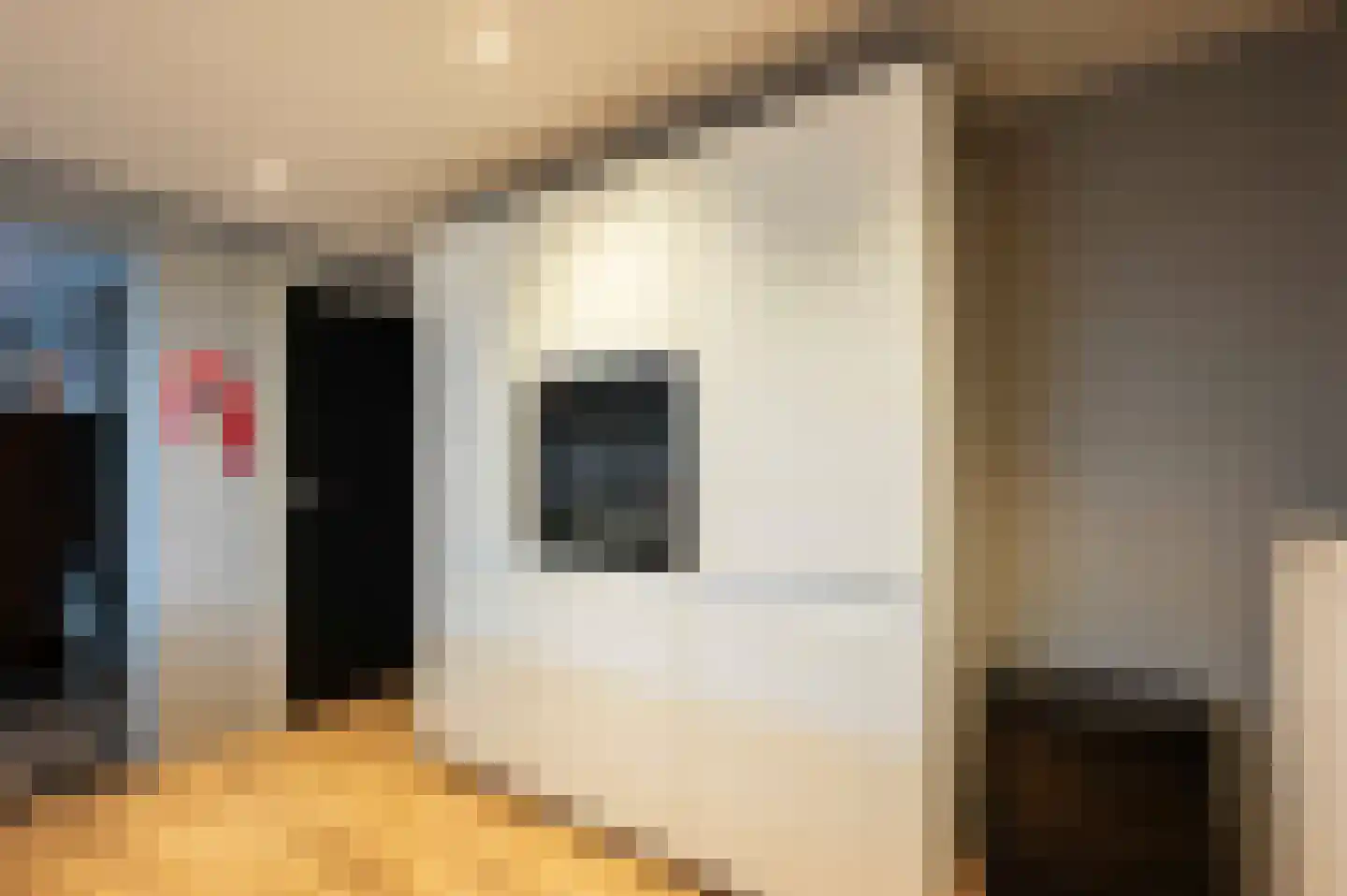 Zandeweg 25 Oudenbosch thumbnail 14