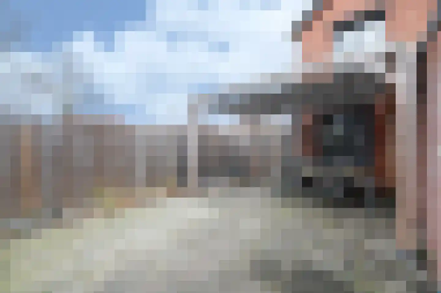 Zandeweg 25 Oudenbosch thumbnail 20