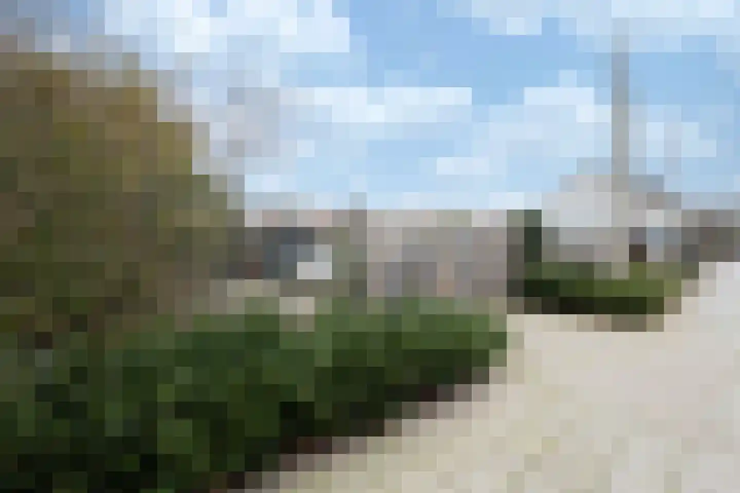 Zandeweg 25 Oudenbosch thumbnail 26