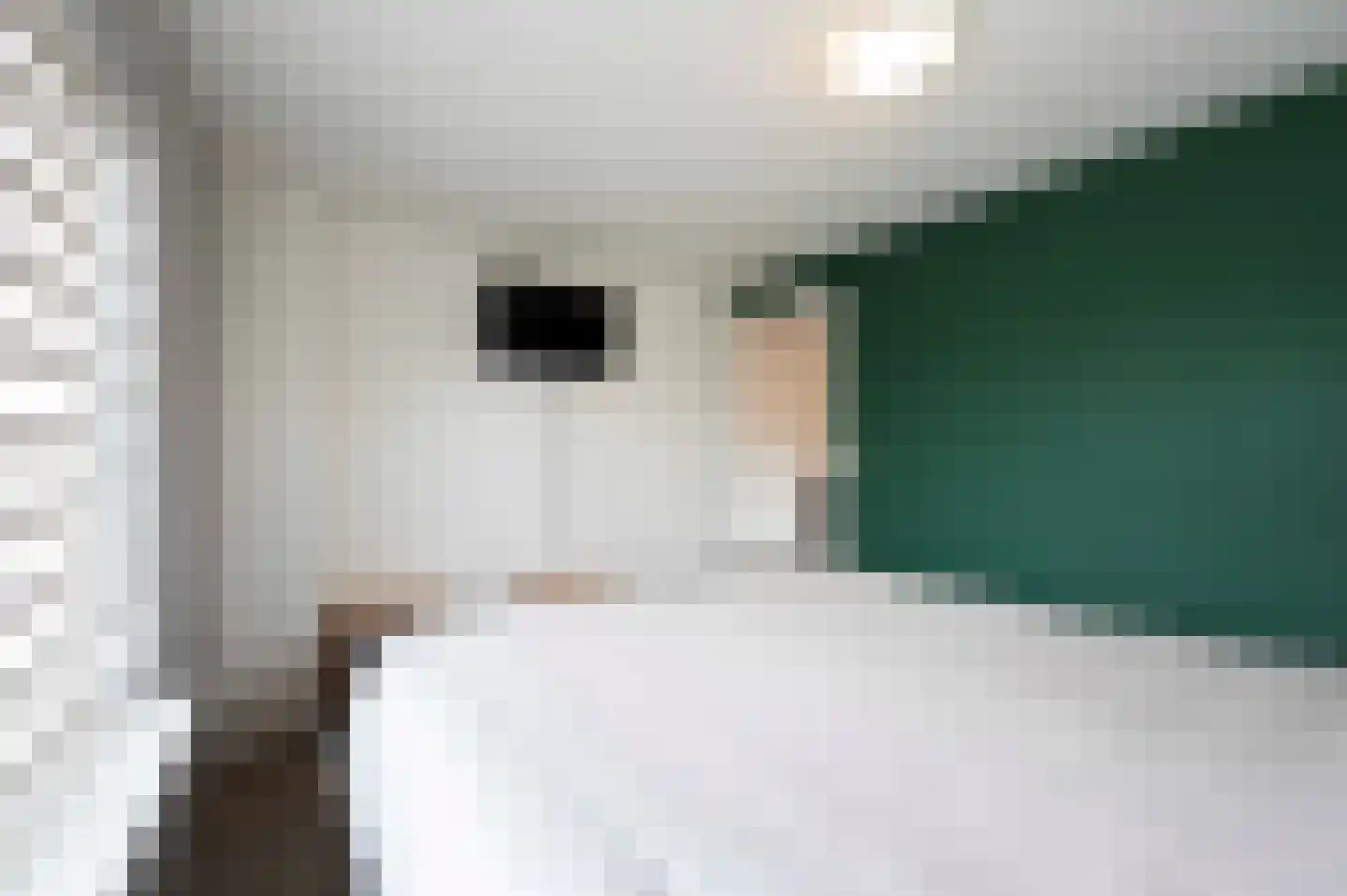 Zandeweg 25 Oudenbosch thumbnail 30