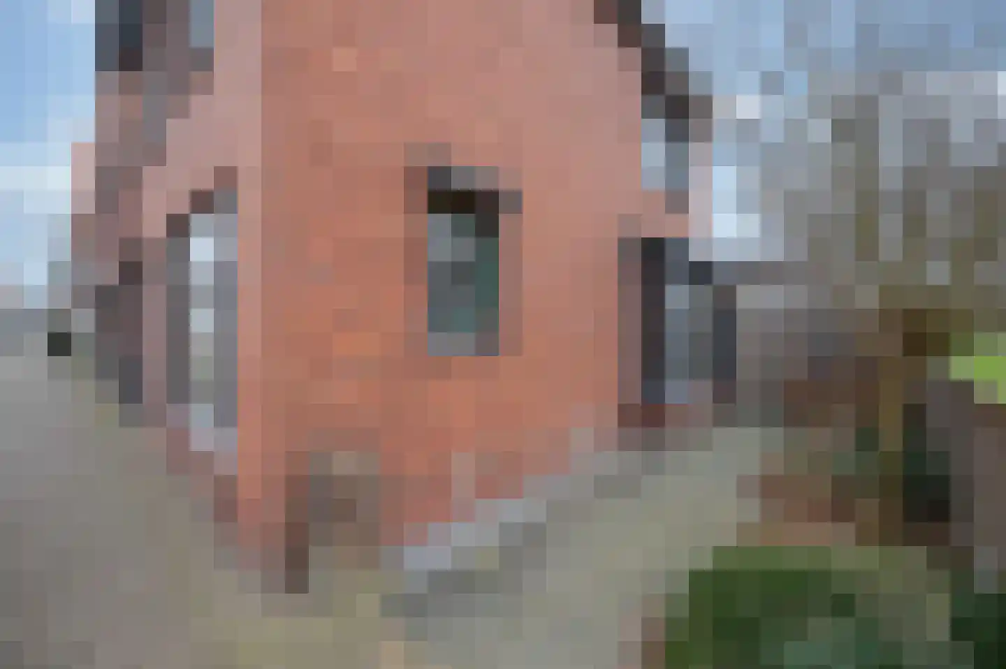 Zandeweg 25 Oudenbosch thumbnail 5