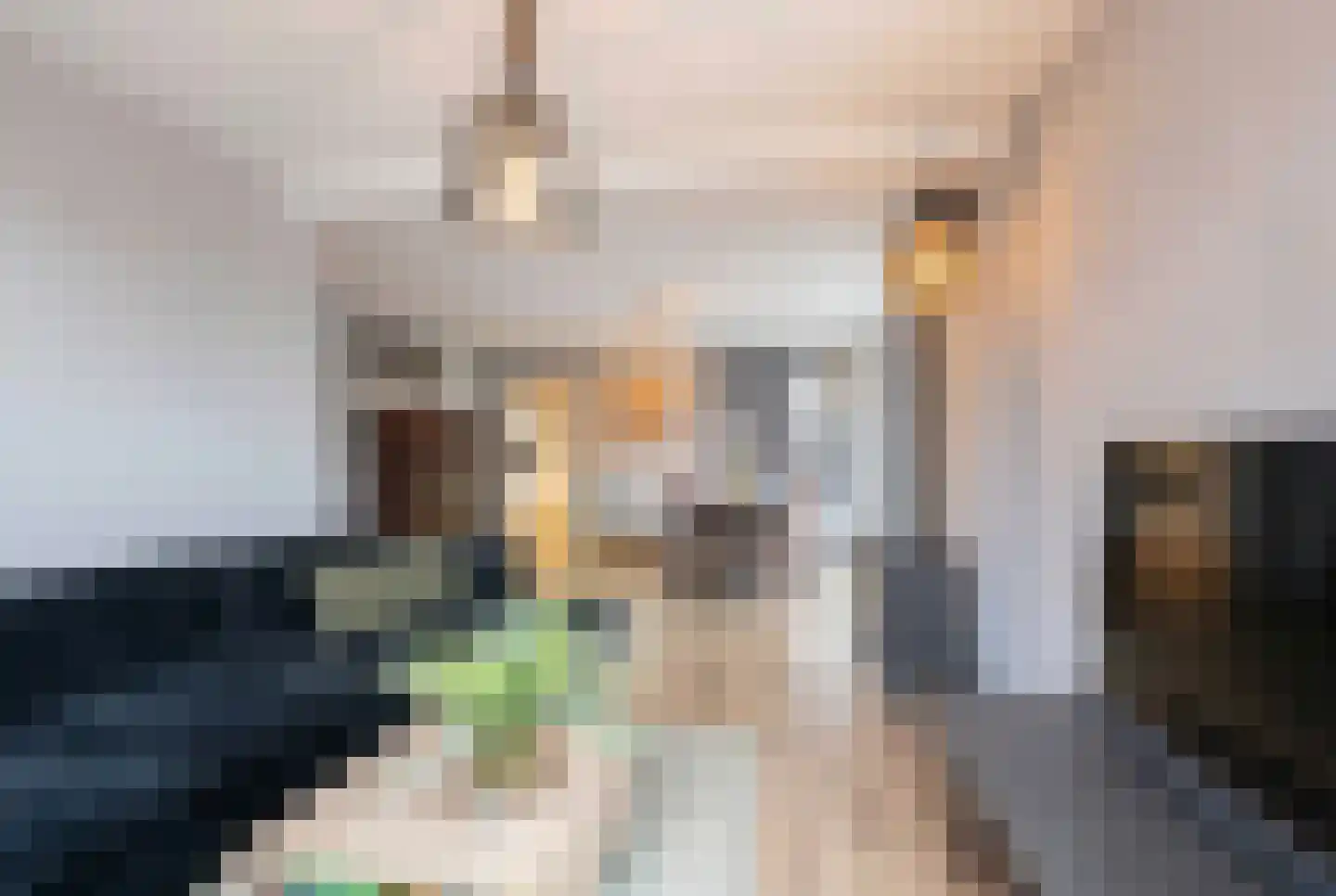 Zandeweg 25 Oudenbosch thumbnail 9