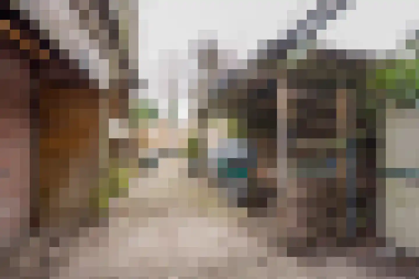 Zandgat 5 Amersfoort thumbnail 27
