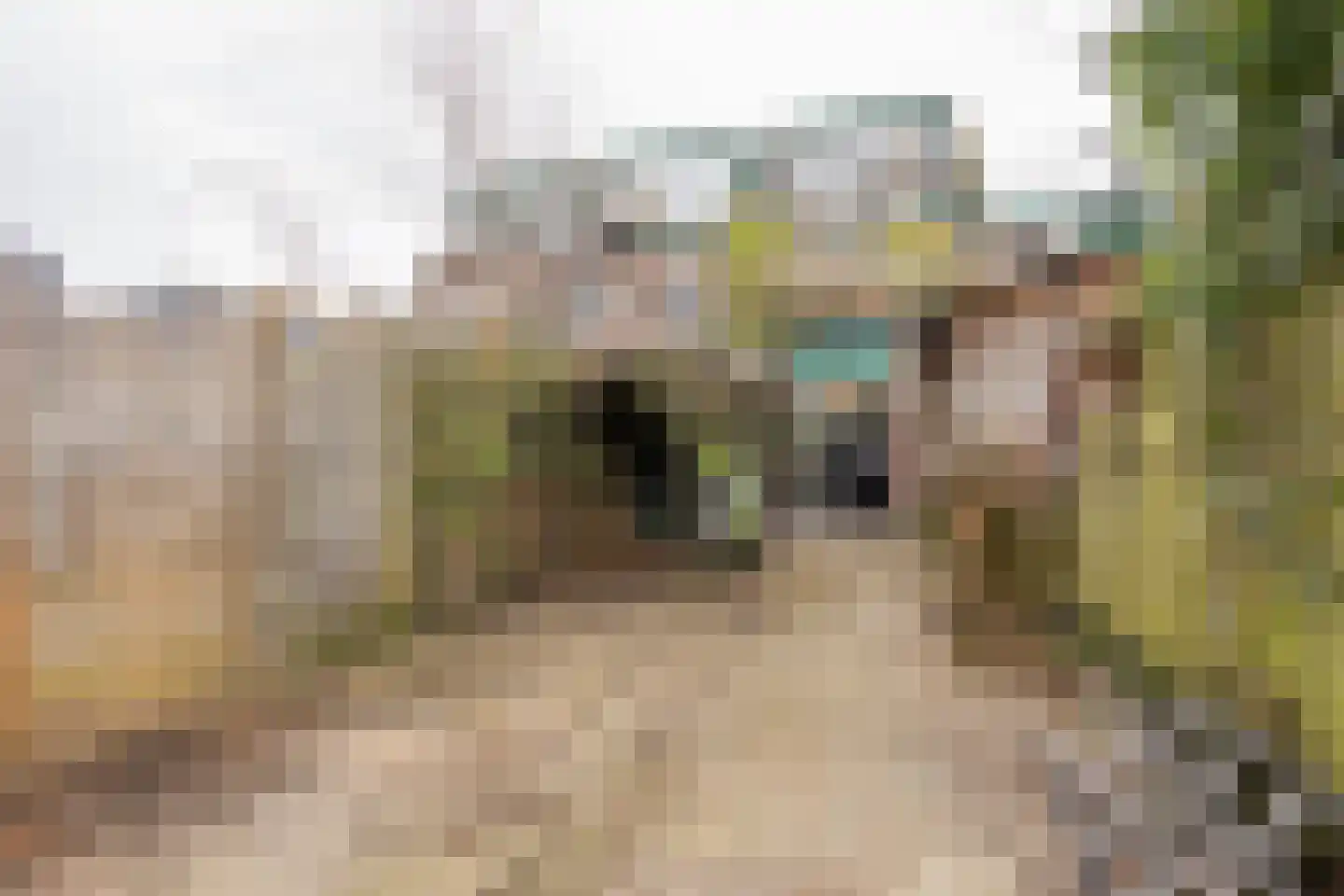 Zandgat 5 Amersfoort thumbnail 4