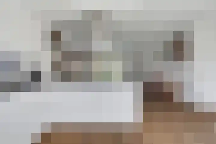 Zandgors 23 Mijnsheerenland thumbnail 10
