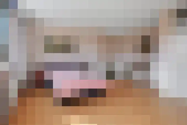 Zandgors 23 Mijnsheerenland thumbnail 15