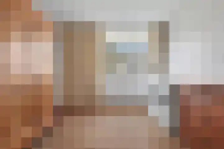 Zandgors 23 Mijnsheerenland thumbnail 17