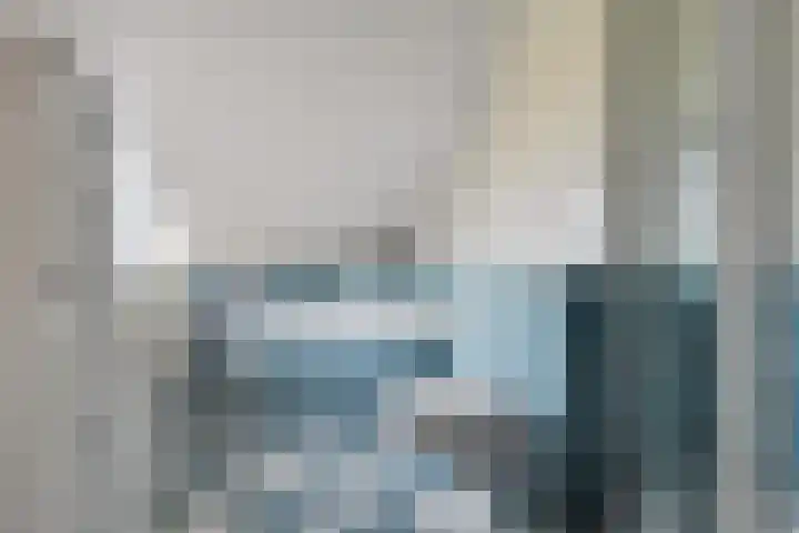 Zandgors 23 Mijnsheerenland thumbnail 19