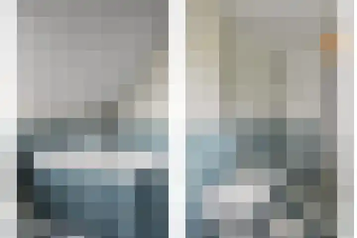 Zandgors 23 Mijnsheerenland thumbnail 20