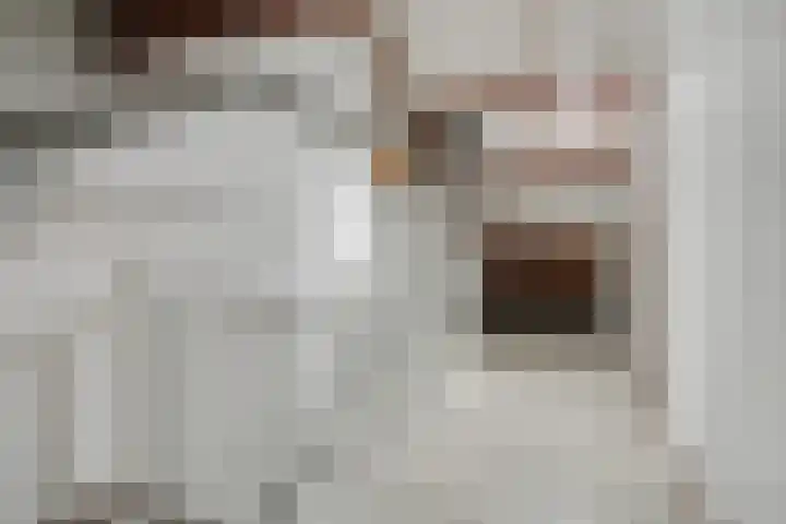 Zandgors 23 Mijnsheerenland thumbnail 21