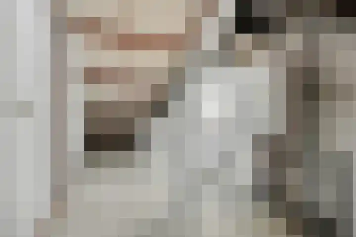 Zandgors 23 Mijnsheerenland thumbnail 22
